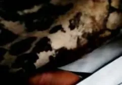 Nur Tiersex frauenporno gratis